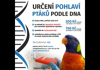 Stanovení pohlaví ptáků dle DNA